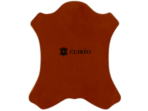 Import Crust Leather from Bangladesh