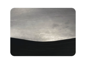 Crust Leather From Bangladesh